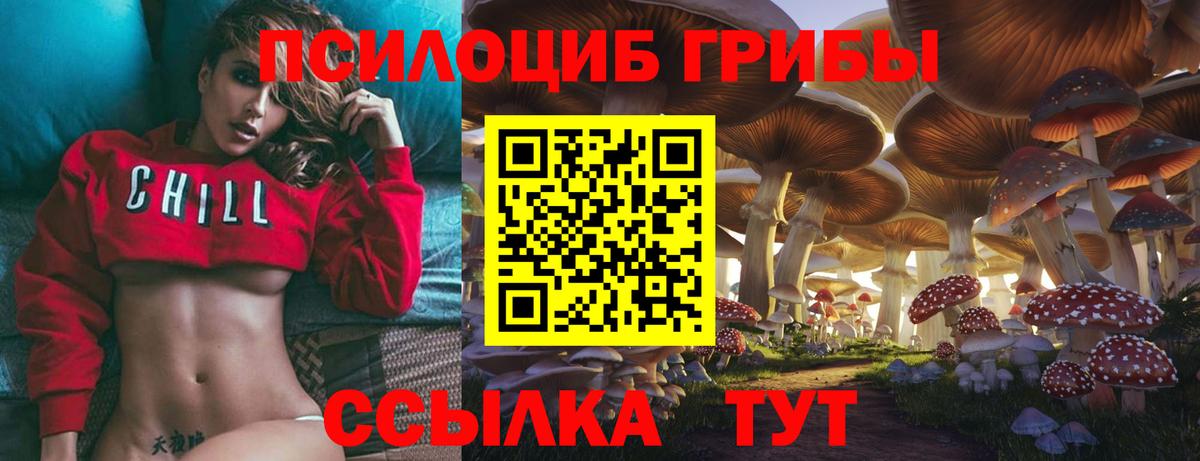 Галлюциногенные грибы мухоморы Люберцы